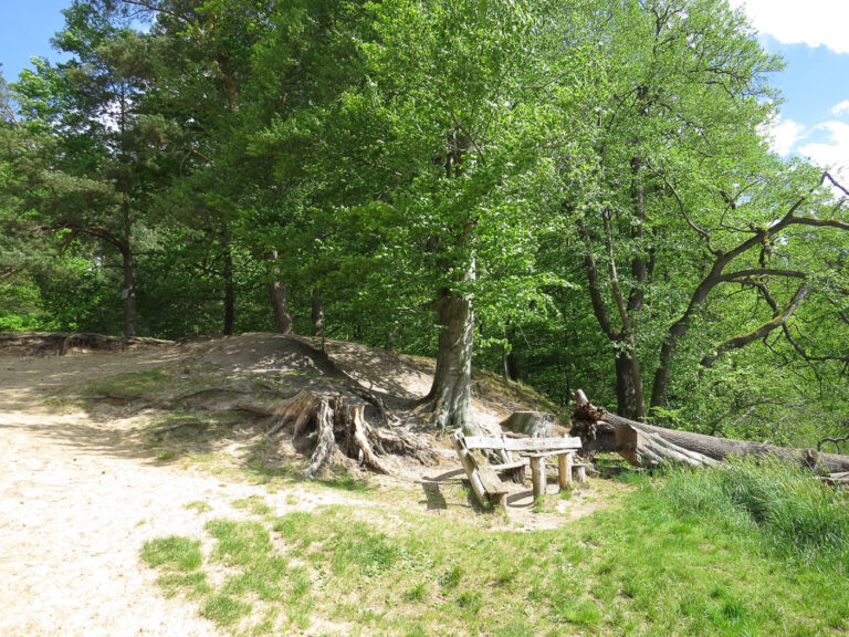 Am Seeufer