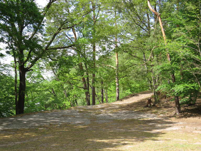 Wanderweg am See