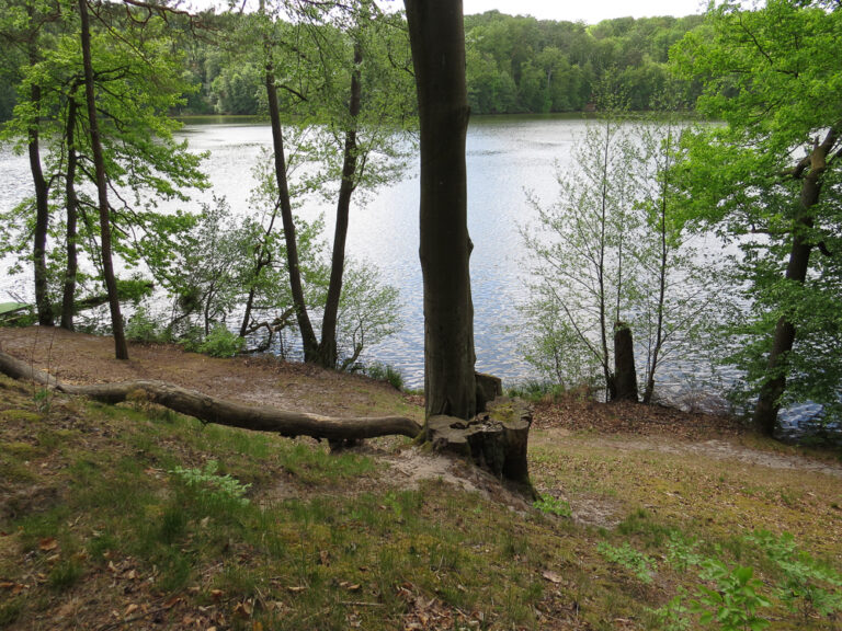 Wanderweg am See